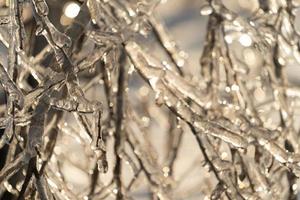 close-up de pingentes de gelo em galhos de árvores nuas foto