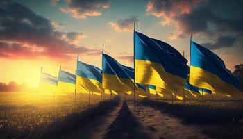 campo do ucraniano bandeiras às pôr do sol. gerar ai. foto