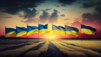 campo do ucraniano bandeiras às pôr do sol. gerar ai. foto