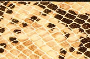 textura de pele de cobra foto