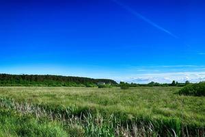 pitoresco Primavera panorama com azul céu e verde Campos foto