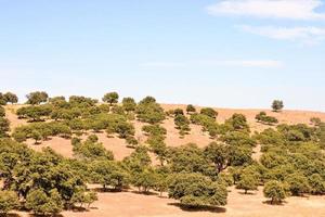 cênico rural panorama foto