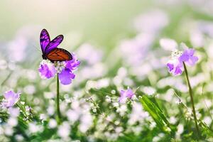 uma lindo borboleta dentro a jardim com ai gerado foto