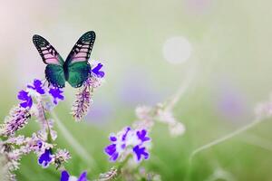 uma lindo borboleta dentro a jardim com ai gerado foto