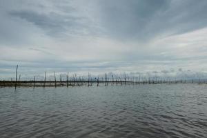 cultivo do algas marinhas dentro costeiro águas do legundi, lampung, Indonésia foto