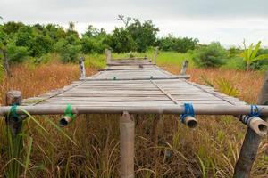 bambu postes para secagem algas marinhas dentro Indonésia foto