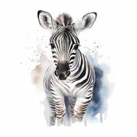 fofa pequeno bebê zebra, água cor, pastel cor com branco fundo , gerar ai foto