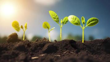 agricultura plantar semeadura crescendo degrau conceito dentro jardim e su, gerar ai foto