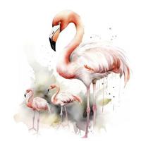 livre mãe flamingo com flamingo criança água cor, pastel cor com branco fundo, gerar ai foto