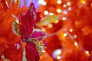 suave foco Natal vermelho falso flor com suave borrão conduziu fundo. foto