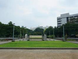 Visão do pessoas rega a jardim quintal. isto parque é cercado de vegetação e de várias jardim postes de iluminação foto