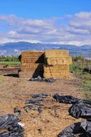 cênico rural panorama foto