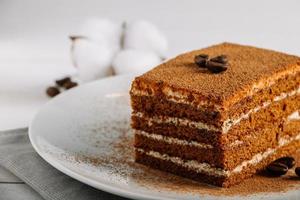 tradicional sobremesa italiana tiramisu sobre fundo claro. foto