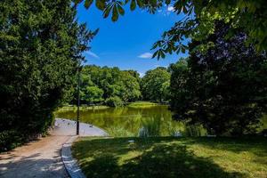 verão panorama com uma lagoa saski jardim Varsóvia Polônia verde árvores caloroso dia foto