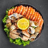 frutos do mar prato sortido camarões, caranguejo garras, amêijoas, Rapan, trompetista molusco refeição Comida lanche em a mesa cópia de espaço Comida fundo rústico topo Visão foto