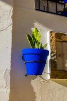 azul panelas com flores em uma branco construção dentro a velho Cidade do alicante Espanha foto