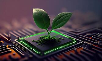 crescendo árvore em a convergindo ponto do um computador o circuito borda. natureza com digital convergência e tecnológica convergência. verde Informática, verde tecnologia, verde isto, RSC, generativo ai foto