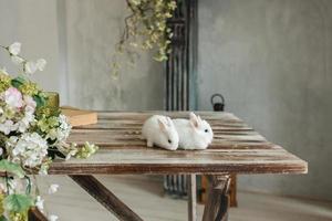 uma grupo do fofa Páscoa Coelho coelhos em a mesa dentro a vivo sala. lindo fofa animais de estimação. foto