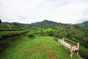 bambu cadeira em Relva dentro chá plantação em a montanha e floresta é muito lindo Visão dentro chiangrai província, tailândia. foto