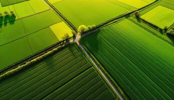 generativo ai, Fazenda paisagem, agrícola Campos, lindo interior, país estrada. natureza ilustração, fotorrealista topo Visão drone, horizontal bandeira. foto