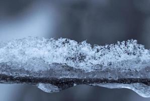 fechar acima do gelo e neve em ramo do árvore foto