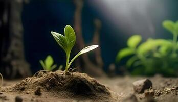 a plantinha estão crescendo a partir de a rico solo para a manhã luz solar este é brilhando, ecologia conceito. generativo ai contente, foto