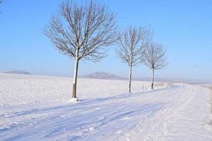 rural Avenida dentro uma Nevado inverno foto