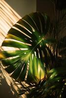 tropical Palma folhas fundo. ilustração ai generativo foto