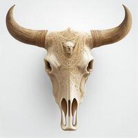 ocidental touro crânio Alto detalhe branco fundo. generativo ai foto