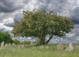 megalítico sepultura dentro nobbin em Ruegen, báltico mar ,mecklenburg-vorpommern Alemanha foto