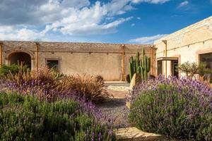 modelo escola Cidade mineral de pozos dentro guanajuato, México, com flores e cacto cacto foto