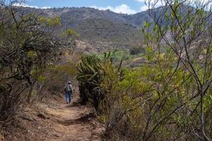 uma vaqueiro homem anda em em uma trilha dentro a montanhas semi deserto. foto