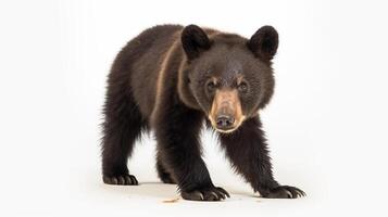 ai generativo uma Urso isolado em branco fundo foto