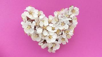 coração de flores da árvore de ameixa em fundo rosa de textura pastel. pode ser usado como banner, cartão postal, impressão de imagem, design de convite. foto. foto