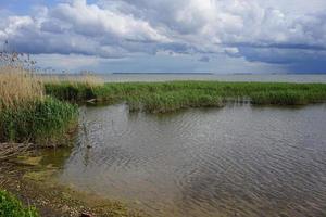 árvores e grama em um estuário sob um céu azul nublado na costa da Curlândia na Rússia foto