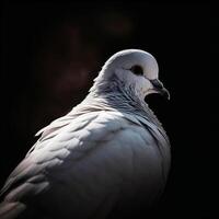 detalhado retrato do uma branco pomba cabeça, gerar ai foto