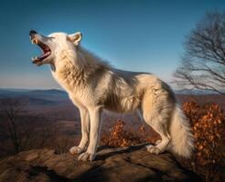 cênico retrato do branco Lobo rugindo sobre montanha, generativo ai foto