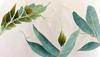 impressionante eucalipto folhas fronteira, aguarela ilustração isolado em branco, vegetação clipart para casamento. generativo ai foto