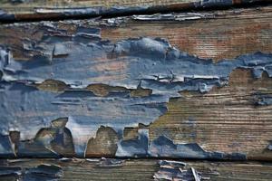 madeira azul textura foto