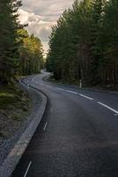 estrada curva através de uma floresta de pinheiros foto