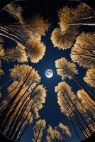 floresta às noite com uma cheio lua dentro a céu. generativo ai. foto