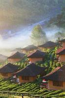 lindo recorrer e valor é chinês estilo com chá plantação dentro névoa e nascer do sol brilhando em a montanha às banimento rak tailandês, mae hong filho província, tailândia. foto