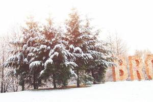 inverno panorama com fresco neve e árvores foto