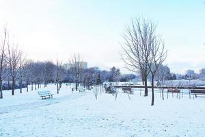 inverno panorama com fresco neve e árvores foto