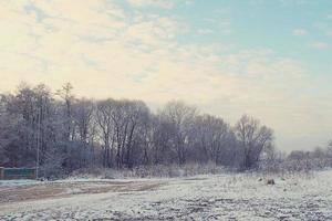 inverno panorama com fresco neve e árvores foto