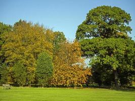 árvores com folhagem de outono no arboreto de yorkshire, yorkshire norte, inglaterra