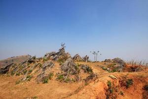 panorama do a rochoso e seco pastagem em a vale montanha às doi pha Espiga Colina dentro Tailândia foto