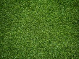 verde Relva textura fundo Relva jardim conceito usava para fazer verde fundo futebol tom, Relva golfe, verde gramado padronizar texturizado fundo... foto