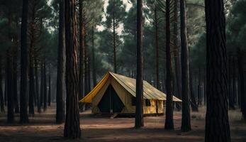 verão acampamento dentro a pinho vista da floresta do acampamento tendas entre a pinho árvores , generativo ai foto