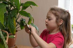 uma criança de 4 anos menina leva Cuidado do casa plantas. casa plantio a partir de infância conceito foto